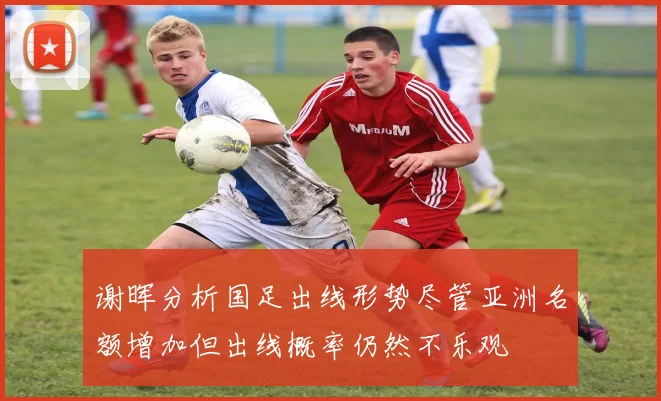 谢晖分析国足出线形势尽管亚洲名额增加但出线概率仍然不乐观